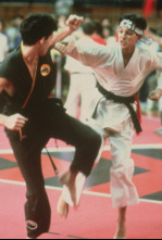 Karate Kid, el momento de la verdad