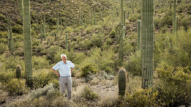 Planeta Verde: Mundos tropicales