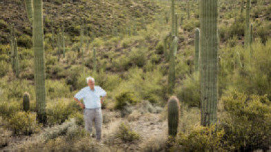 Planeta Verde: Mundos humanos