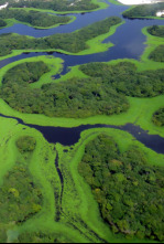 Amazonía: Un mundo de agua dulce