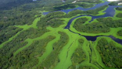 Amazonía: Un mundo de agua dulce