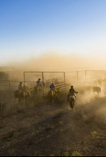 Descubriendo Texas: el...: Rodeo y río Grande