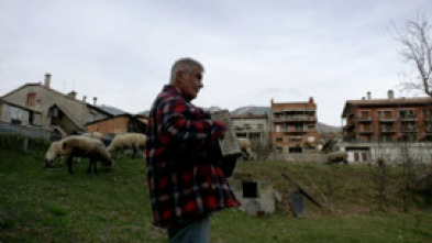 Pastors i ramats: un...: Un pastor mai no es retira: Montserrat Farrés, V. Pons, A. Layunta i J. Domènech