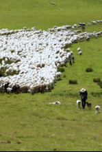 El campo es nuestro: Especial Orgullo rural