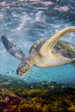 El Mediterráneo, la vida bajo el asedio 