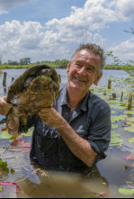 Wild Centroamérica 