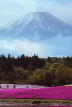 Especial Japón: entre el cielo y la tierra 