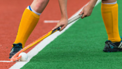 Copa del Rey de hockey hierba