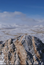 Tibet, la cima del mundo