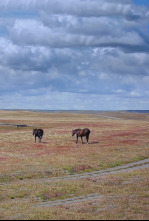 Amèrica del Sud: La...: Deserts