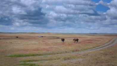 Amèrica del Sud: La...: Deserts