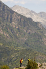 80 cm (T5): Úbeda y Sierra Mágina (Jaén)