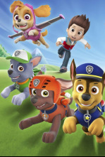 La patrulla canina (T9): La patrulla canina conoce al Cat Pack