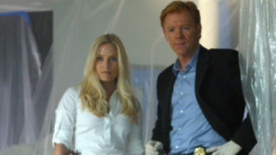 CSI: Miami (T2)