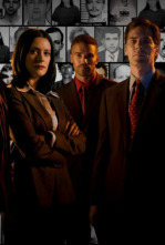 Mentes criminales (T2): Ep.19 Polvo y cenizas