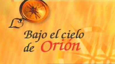 Bajo el cielo de Orión