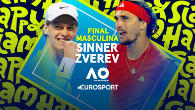 Masculino: Sinner - Zverev