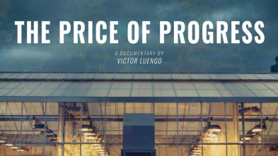 The Price of Progress