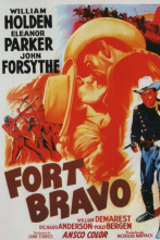 Fort Bravo