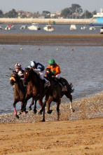 Carreras de Caballos de Sanlúcar