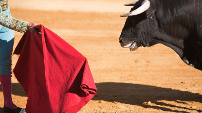 Vaquillas (T2024): Feria Taurina de la Albahaca 2024