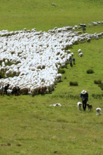 El campo es nuestro: Especial Orgullo rural