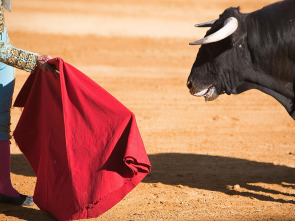 Vaquillas (T2024): Feria Taurina de la Albahaca 2024