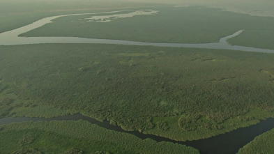 El Nilo: río supremo: Curso vital en el desierto