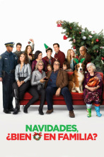 Navidades, ¿bien o en familia?