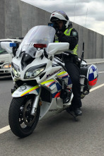 Policías en moto (T1): Coche robado