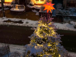 Guerras navideñas: Estrellarse en la nieve