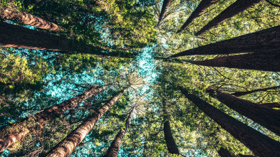 Parcs de llegenda (T1): Parc natural i reseva de la biosfera del Montseny