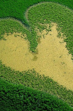 Vist des del cel: La Terra no pertany a l'home sinó que és l'home qui pertany a la Terra (2ª part)