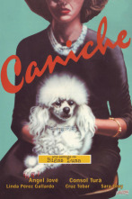 Caniche