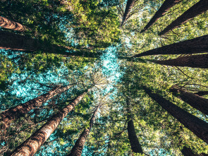 Parcs de llegenda (T1): Parc natural i reseva de la biosfera del Montseny