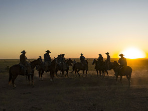 Descubriendo Texas: el estado de la estrella solitaria 