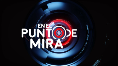 En el punto de mira (T7): Ladrones de identidad