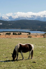 Capcir, al cim del Pirineu