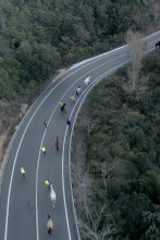 Sense ficció: Camí de Marina. Un conte sobre la voluntat