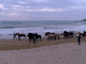 Sense ficció: Camí de Marina. Un conte sobre la voluntat