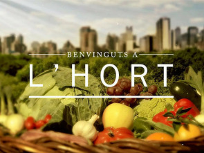 Benvinguts a l'hort (T1): Oliva