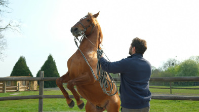 Zoe y Tempestad