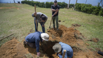 Los millones de Escobar 