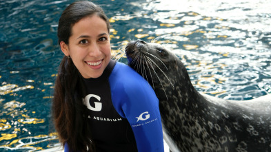 The Aquarium (T1): Scarlett, el cachorro de león marino