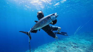 Tiburones caminantes con Forrest Galante