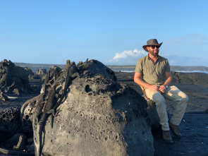 Extinct or Alive: La foca monje del Caribe