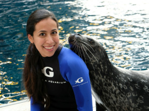 The Aquarium (T1): Scarlett, el cachorro de león marino