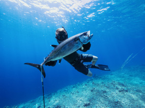 Tiburones caminantes con Forrest Galante