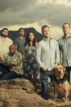 Hawai 5.0 (T9): Ep.10 Pio ke kukui, po'ele ka hale (Cuando cae el sol, la casa se apaga)