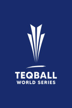 Teqball World Series (2024): QingDao - Final dobles